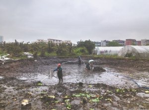 建德河道鱼塘清淤